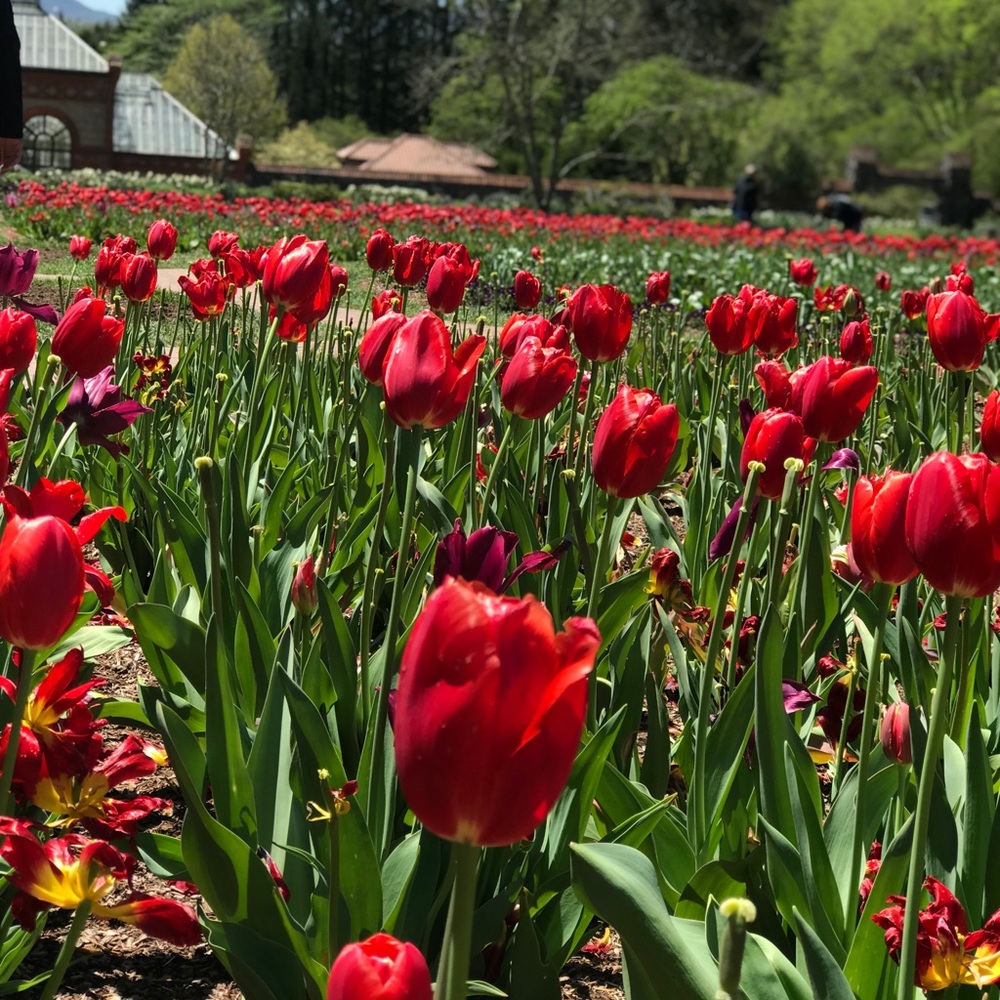 Meet your Posher, Sydney